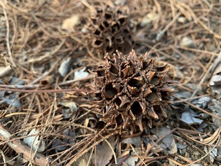 2019-03-24 16.54.17