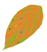 k4.gif