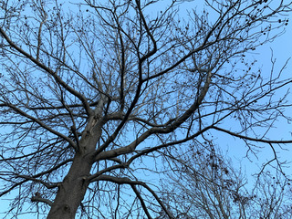 2019-03-24 16.53.56s