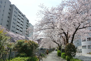 日向はポカポカでした