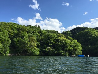 相模湖対岸近く