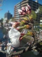 2010.3.30開いた