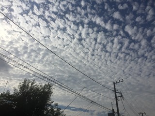 うろこ雲