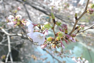 2017年4月4日