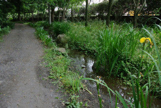 沢が続いています