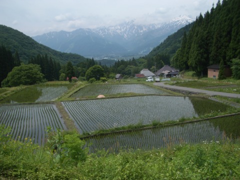 IMGP4798
