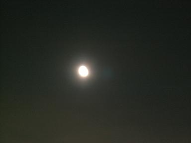 6351a65c.jpg