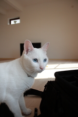 tukune0003