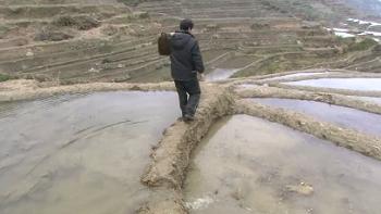 hani rice terraces2