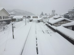 007