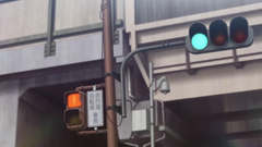 vlcsnap-2018-03-30-19h38m14s528