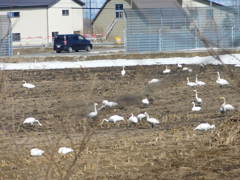 DSCN0462