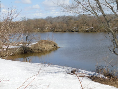 DSCN0437