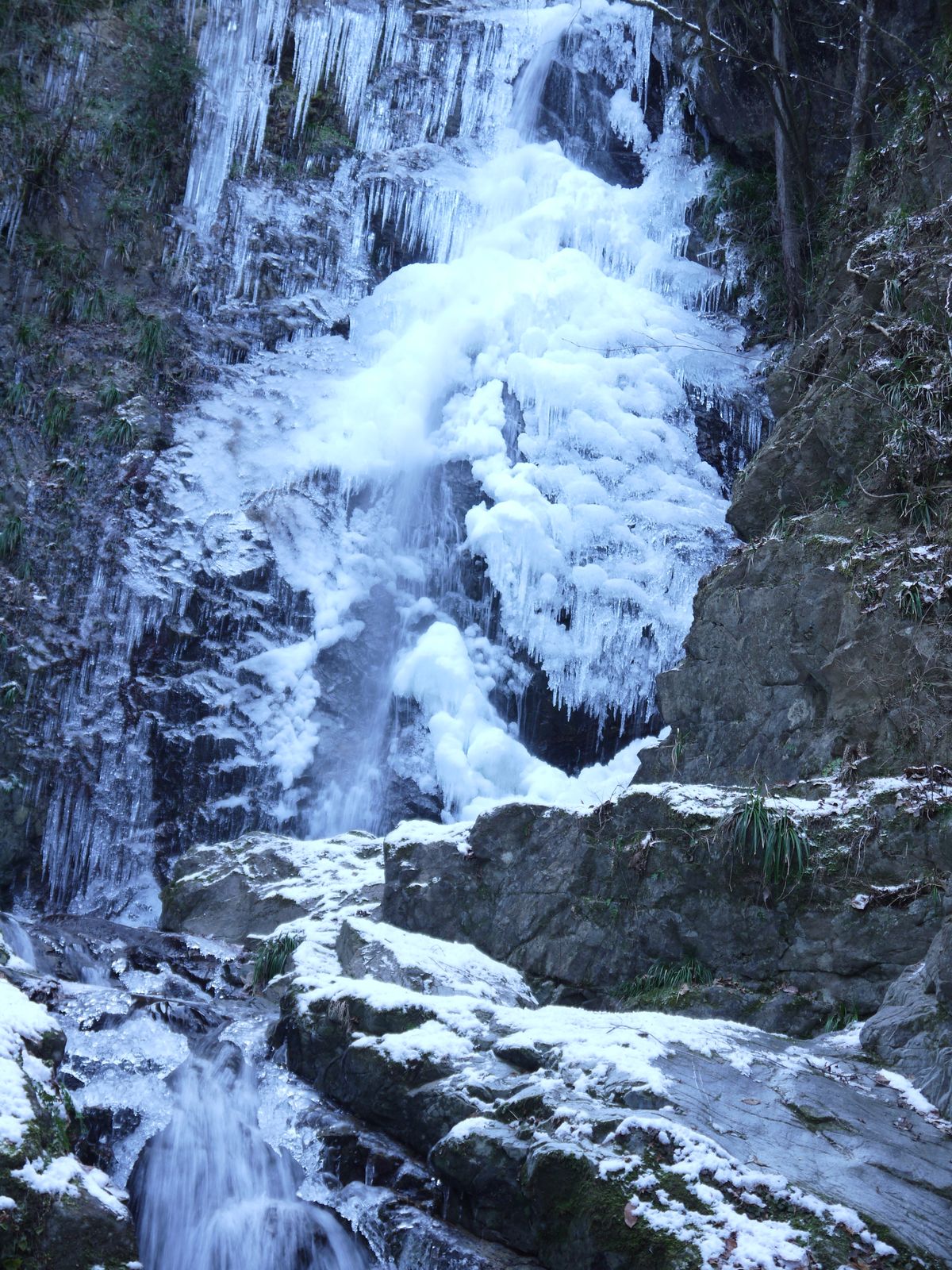 P1010616