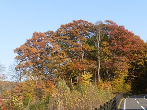 P1030310 a