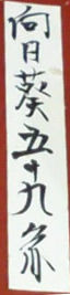 向日葵五十九圓