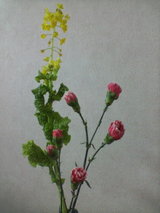 菜の花