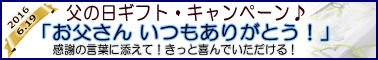 2016father gift_bana_w378