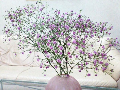 ピンクのカスミ草