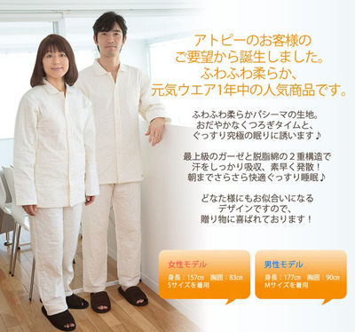 model_w1300
