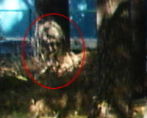 ghost2031