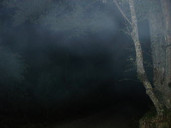 ghost333211111