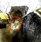 372b27e7.JPG