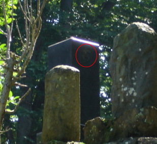 g1444112111