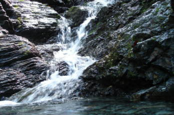 DSC01835111