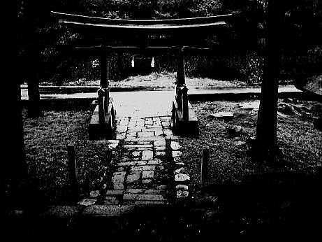 DSC038701111111