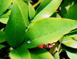 DSC014041111121