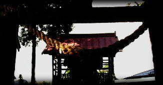 DSC0343011111