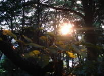 DSC0191
