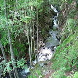 8c69f717.JPG