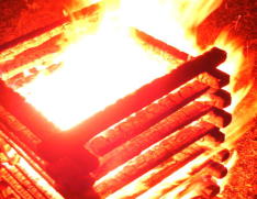 DSC000171111