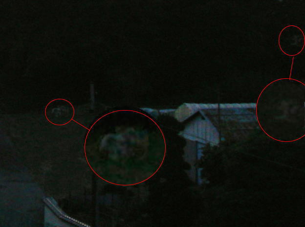 ghost2111112111