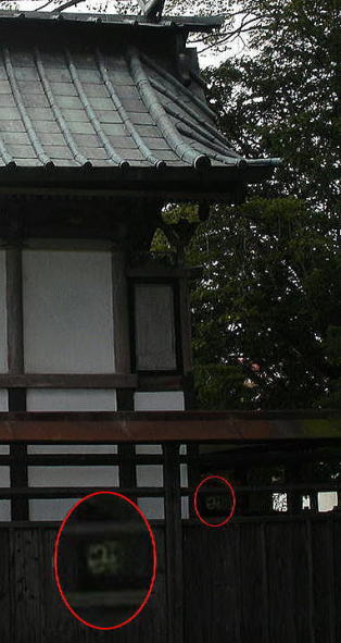 gho331111111
