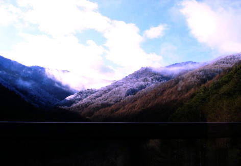 39501111