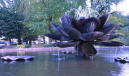 DSC01682211111