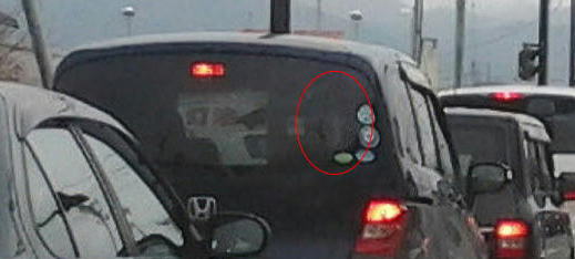 ghost2111