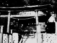 zinzya2111