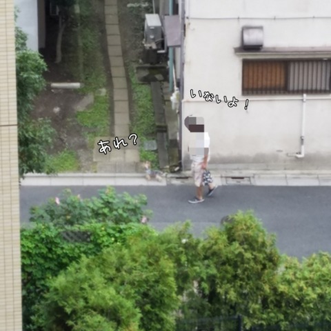 PhotoGrid_1537398745936