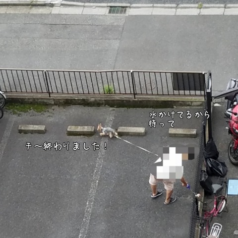 PhotoGrid_1537398439914