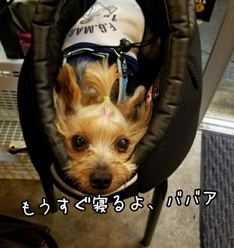 PhotoGrid_1531658806329