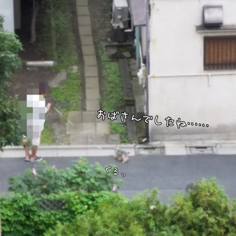 PhotoGrid_1537399470830