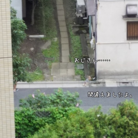 PhotoGrid_1537399736623