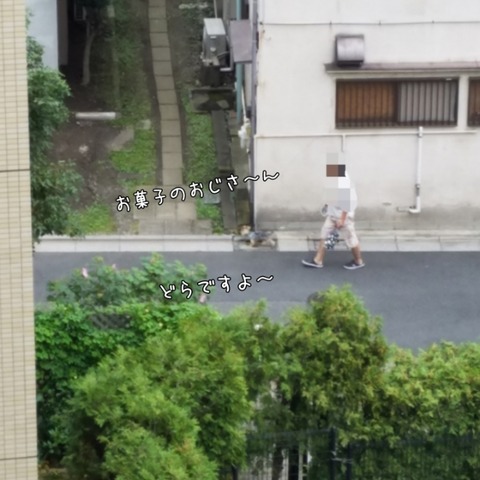 PhotoGrid_1537398638621