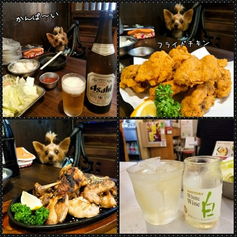 PhotoGrid_1531659270012