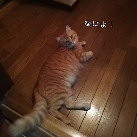 PhotoGrid_1538734456430