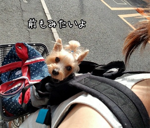 PhotoGrid_1531218879204